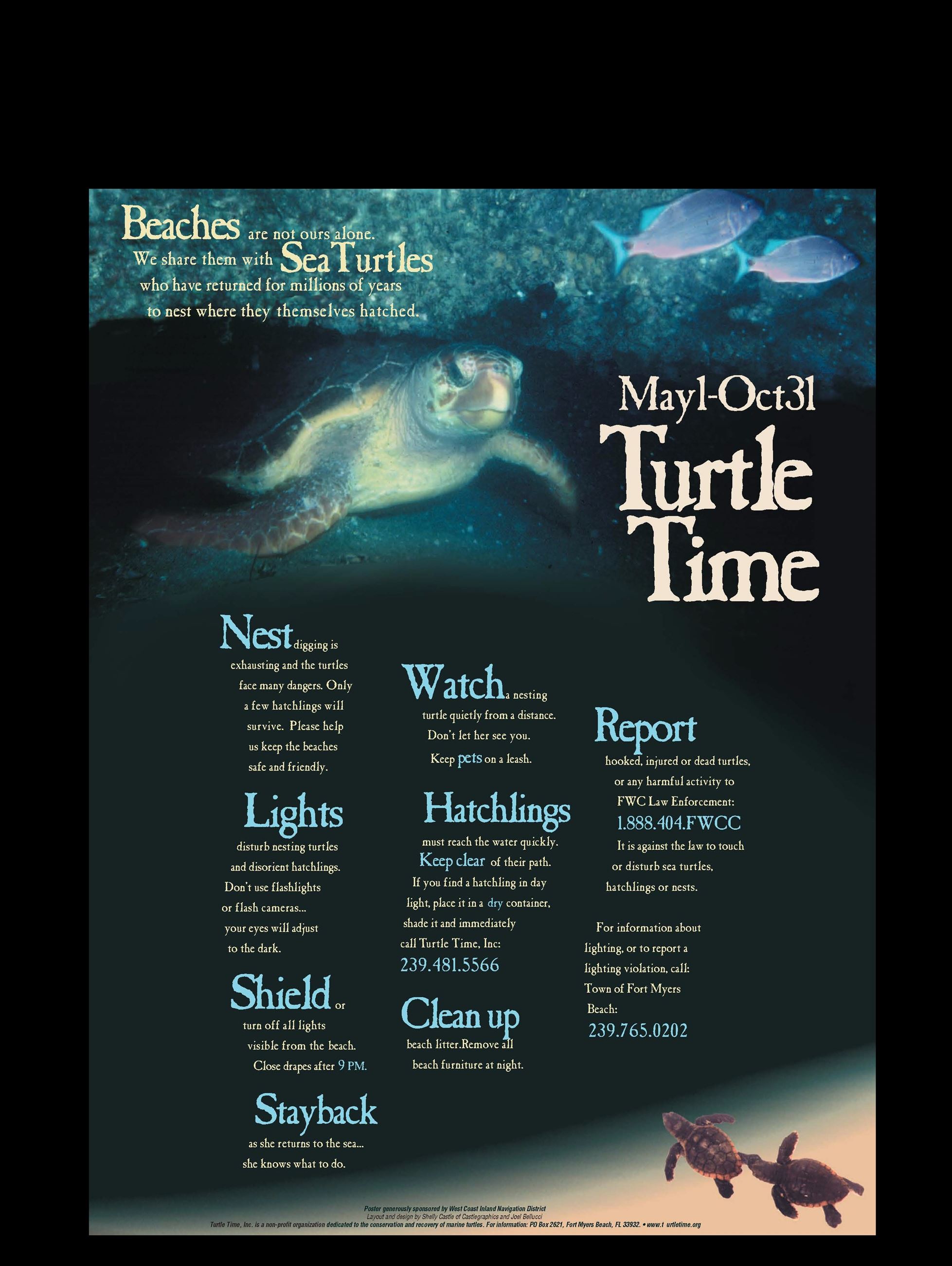 Turtle Time Poster _2017