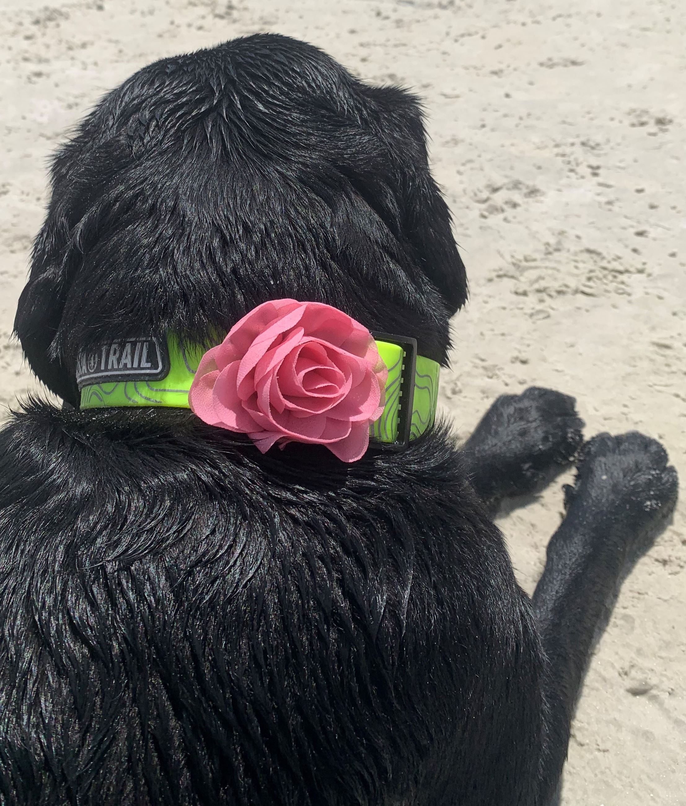 karma from christy nov 2020