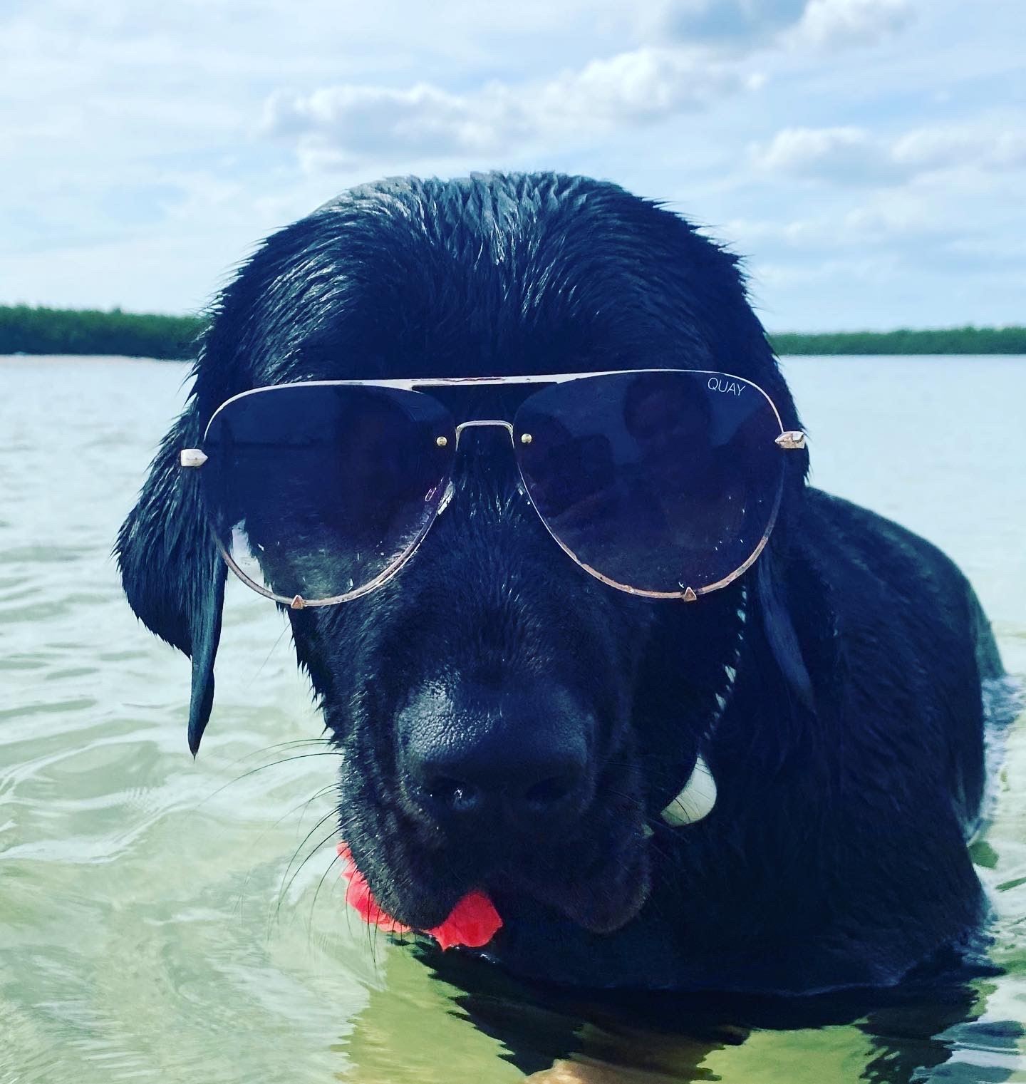 karma in glasses from christy nov 2020