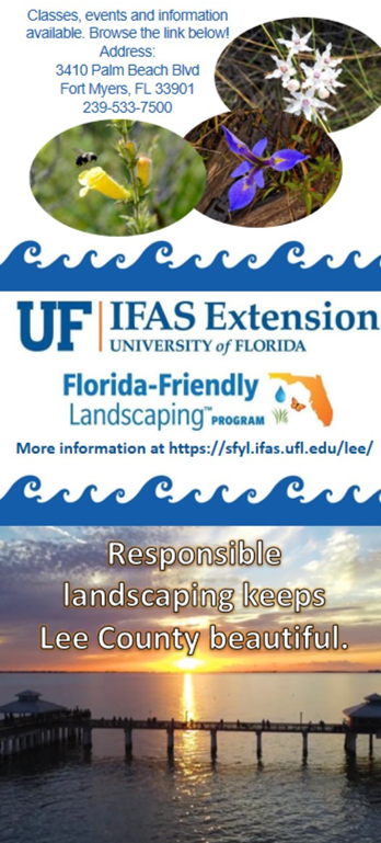florida friendly landscape panel 3