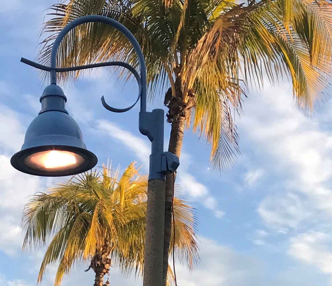 Parking sign closeup