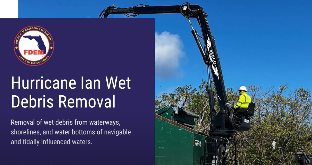 hurricane ian wet debris removal 