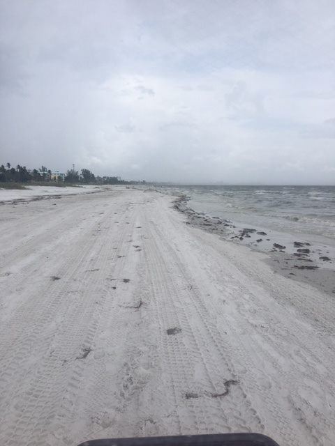 38059376_2147664428842656_8610700286429757440_n