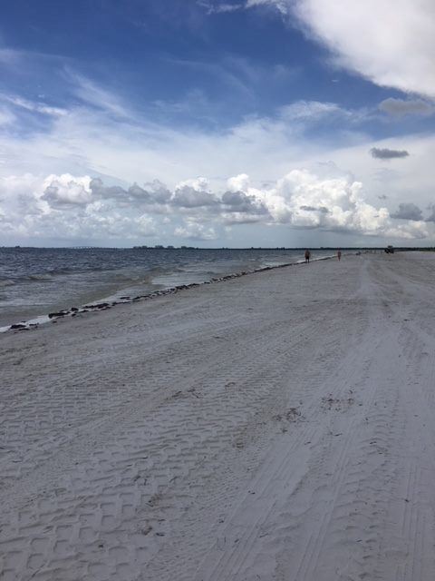 38063062_2147663955509370_3719318717717282816_n