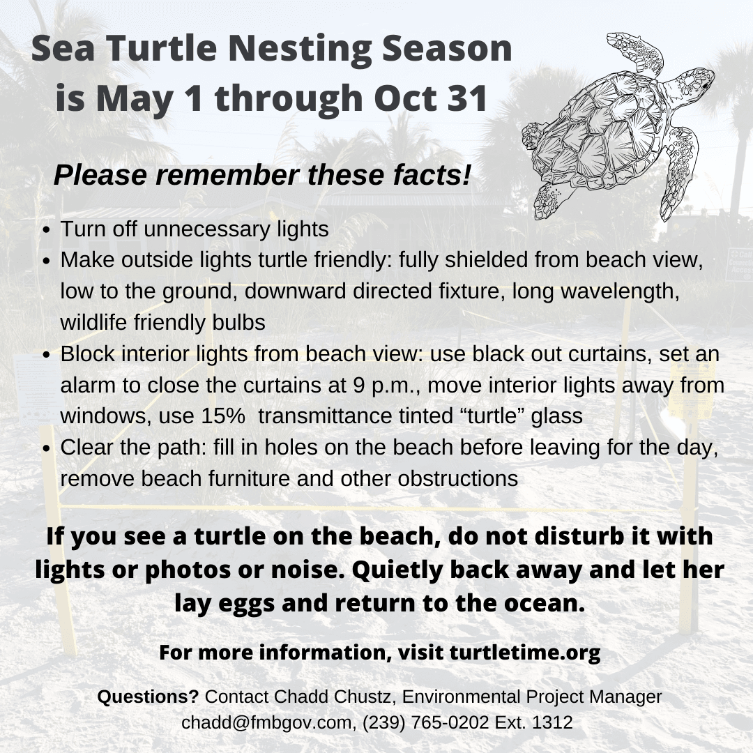Sea Turtle Nesting Season is May 1-October 31