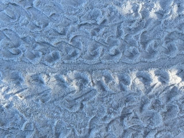 FMB_N 3 hatchling tracks (1)