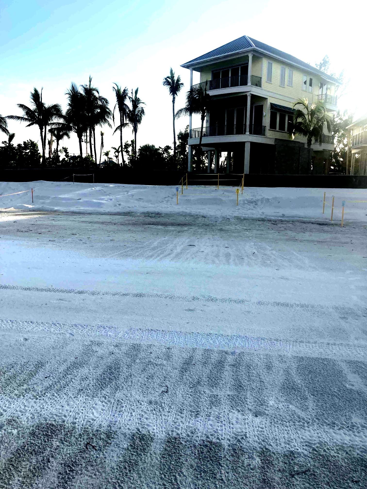 turtle nest hatch on Em Berm 7-16-23